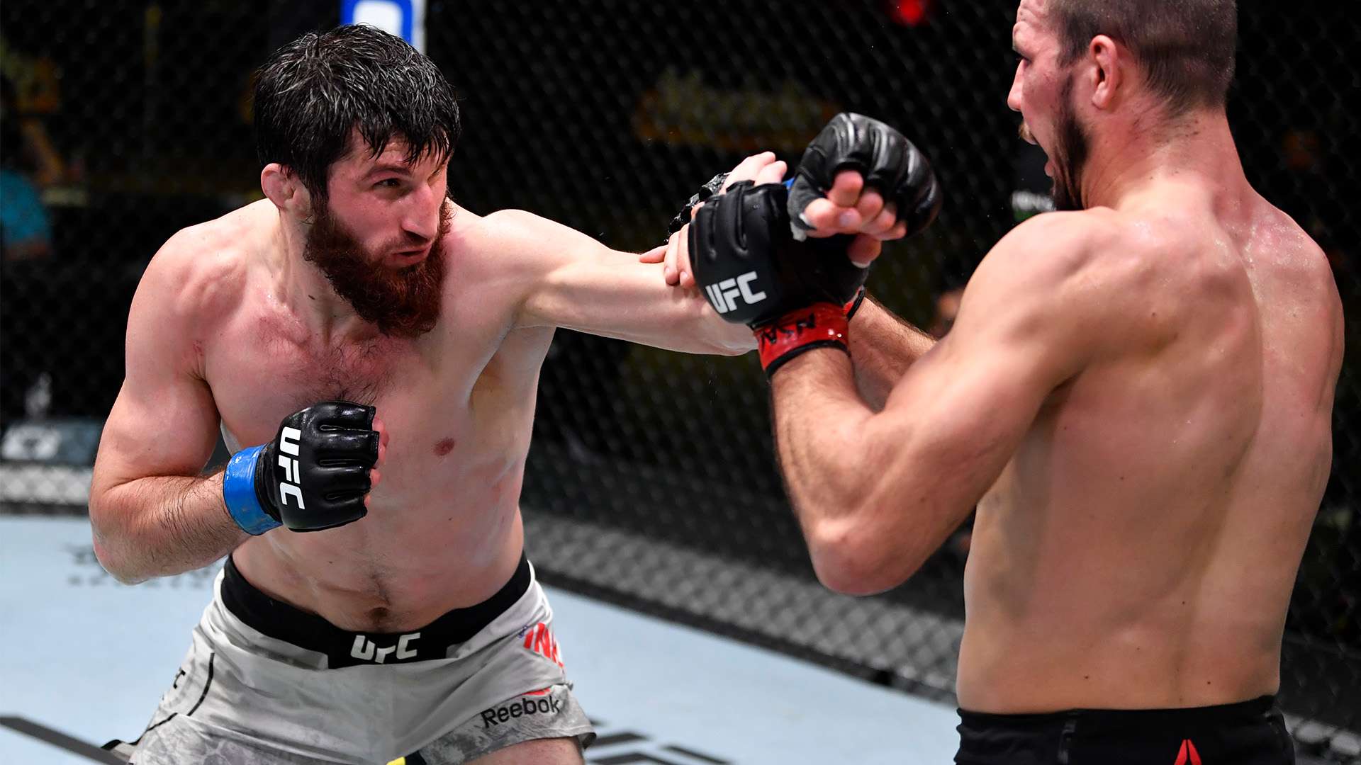 时的欢呼 时的欢呼