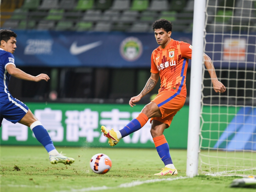 开表达了对 开表达了对